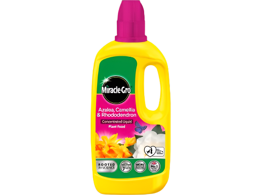 Miracle Gro Ericaceous Liquid Plant Food 800ml
